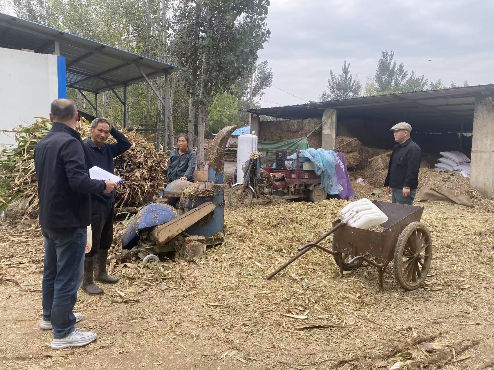 1761288452368065031.jpg 1761288452368065031.jpg