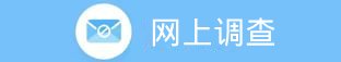 网上调查